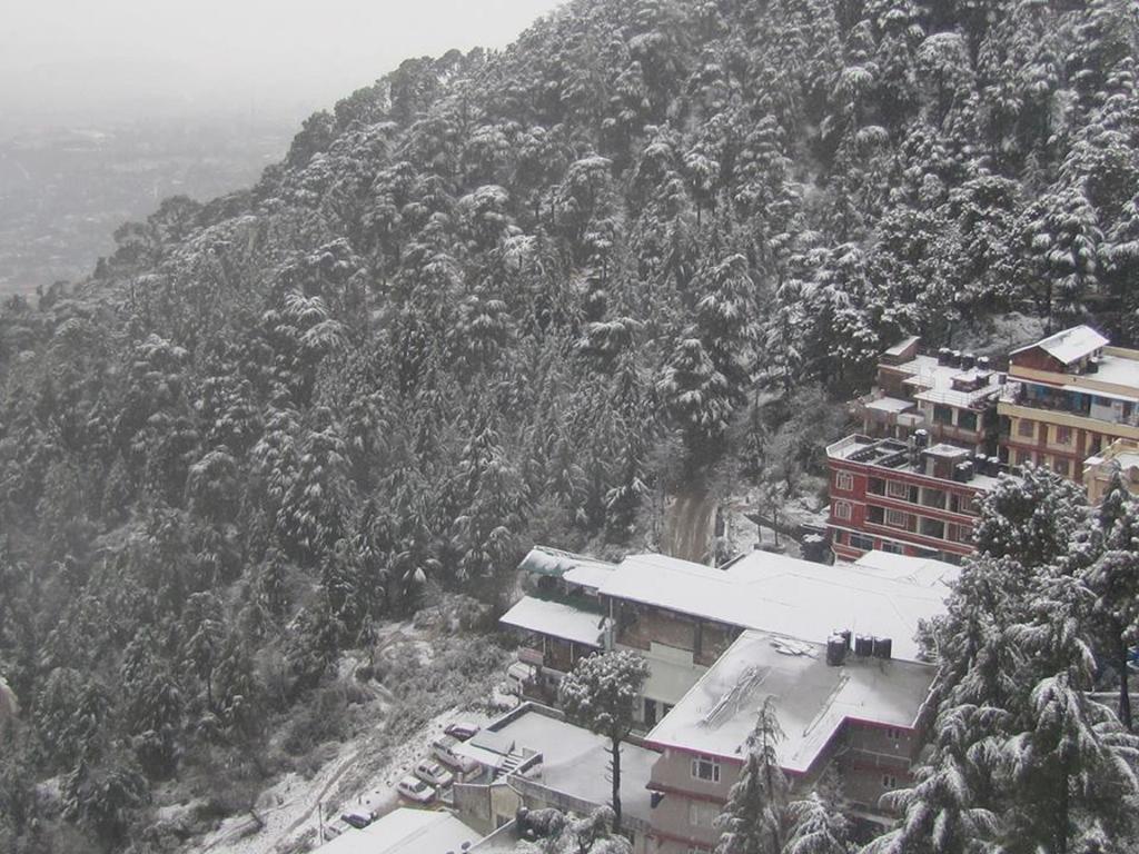 Hotel Deodar Villa Dharamshala Esterno foto